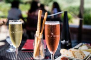 高能对决：女子足球比赛争奇斗艳