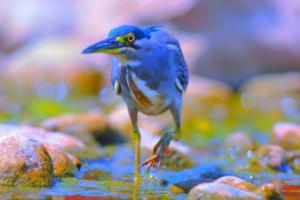 雷恩后卫宣布伤愈归队，或将增强球队防守