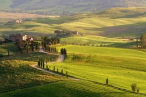 雷恩后卫宣布伤愈归队，或将增强球队防守